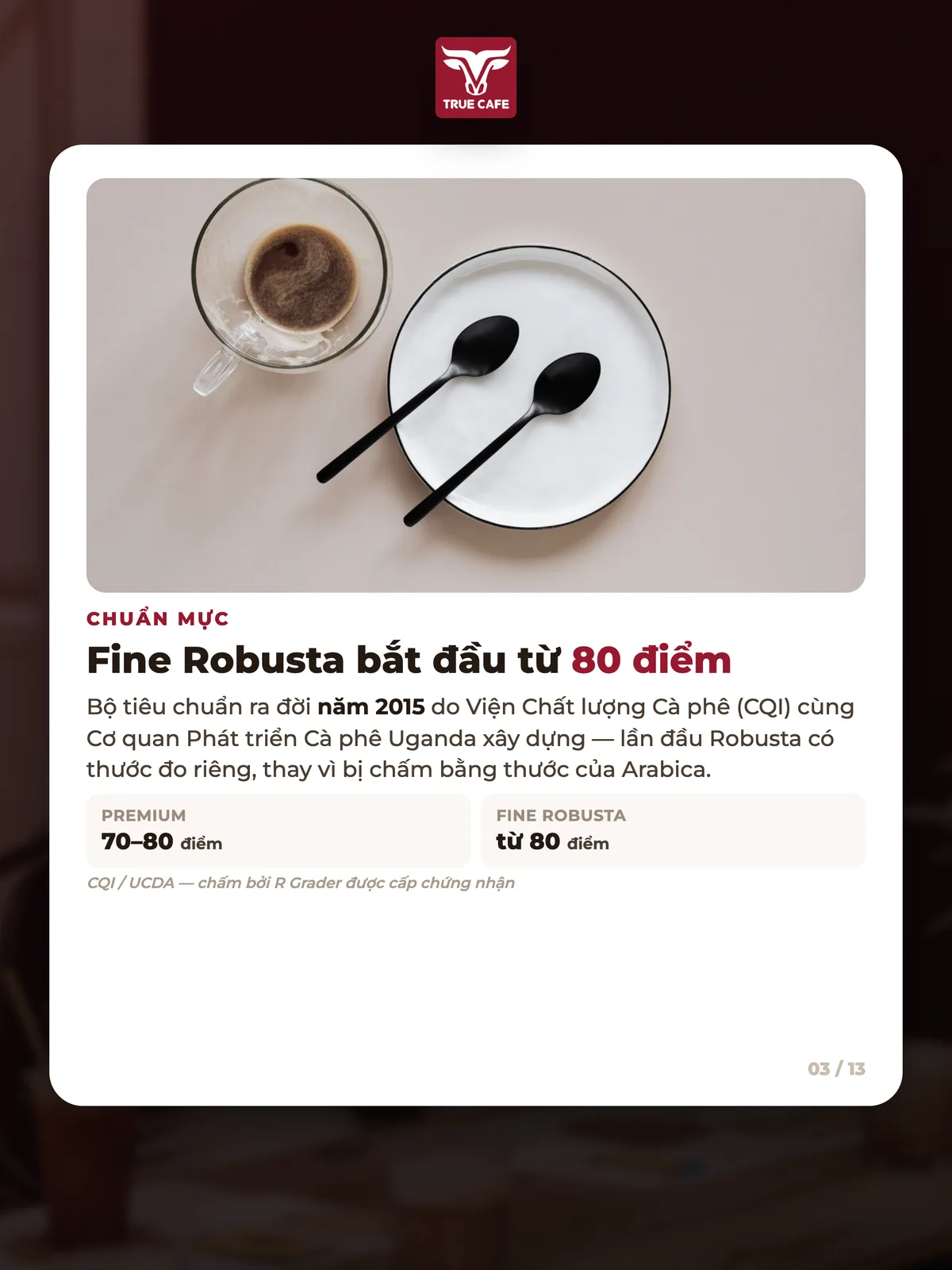 Chuẩn mực — Fine Robusta bắt đầu từ 80 điểm