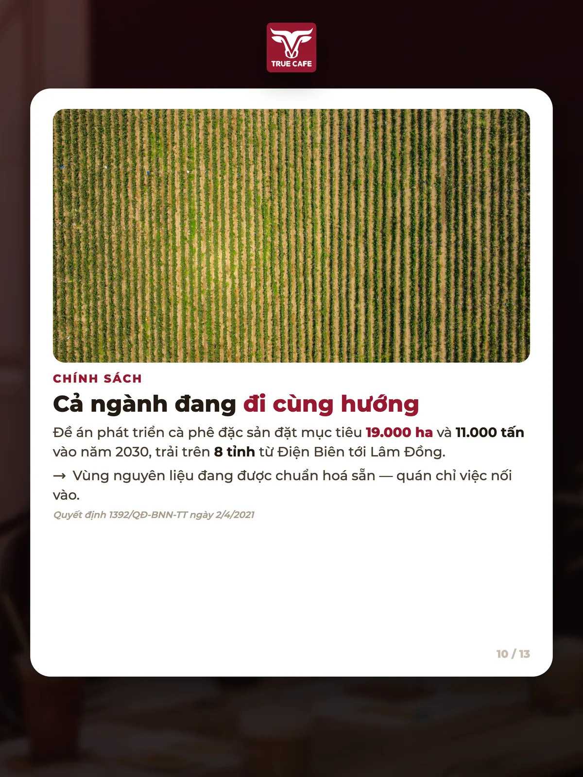 Chính sách — Cả ngành đang đi cùng hướng