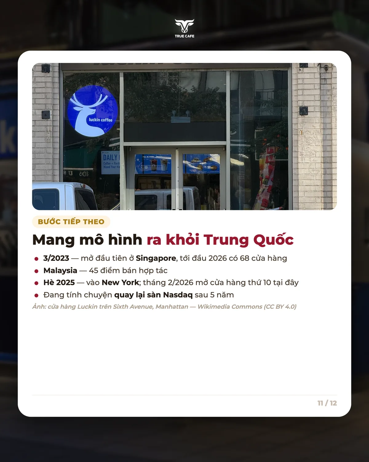 Mang mô hình ra khỏi Trung Quốc