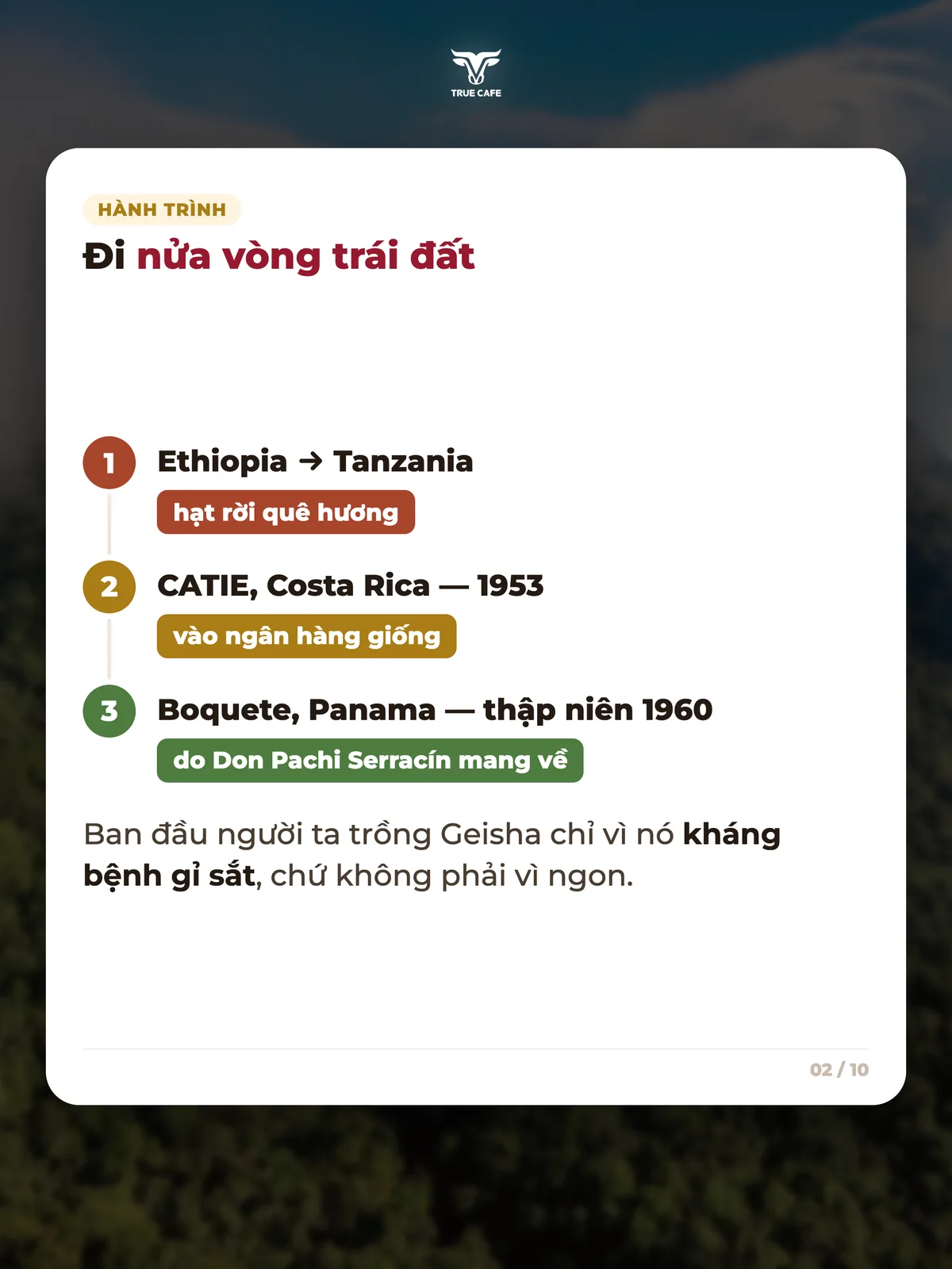 Đi nửa vòng trái đất