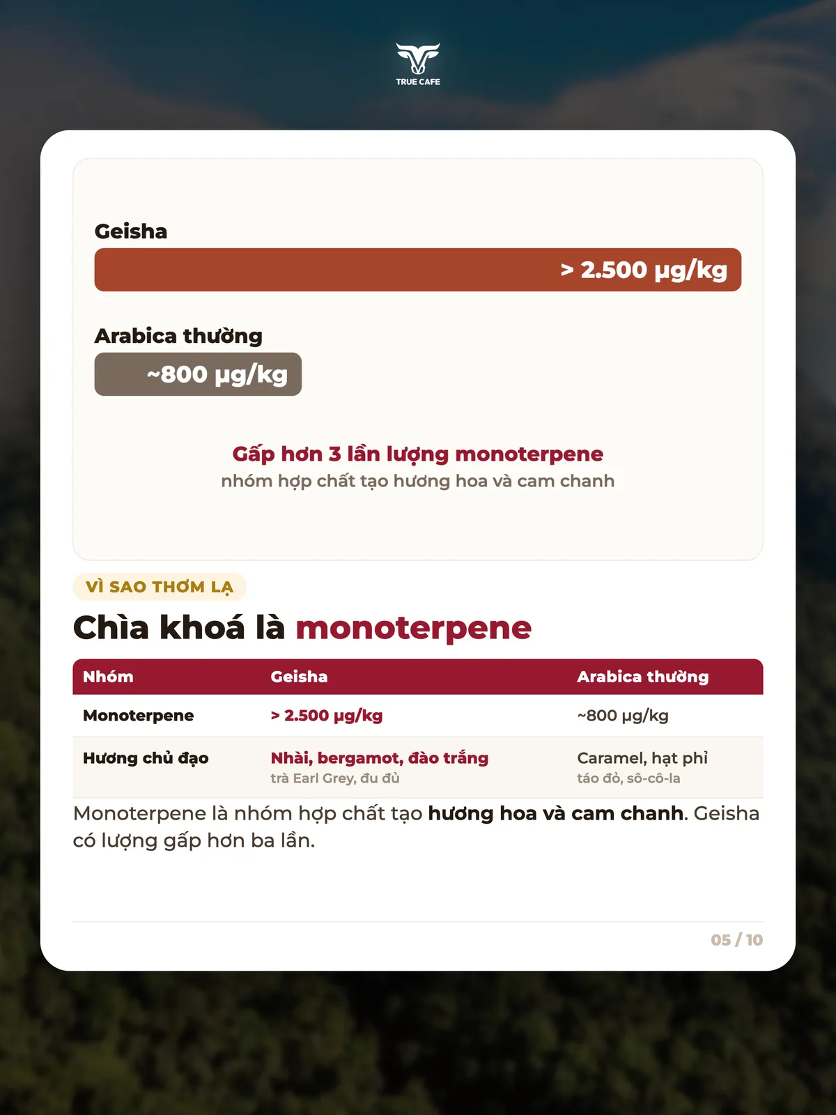 Chìa khoá là monoterpene