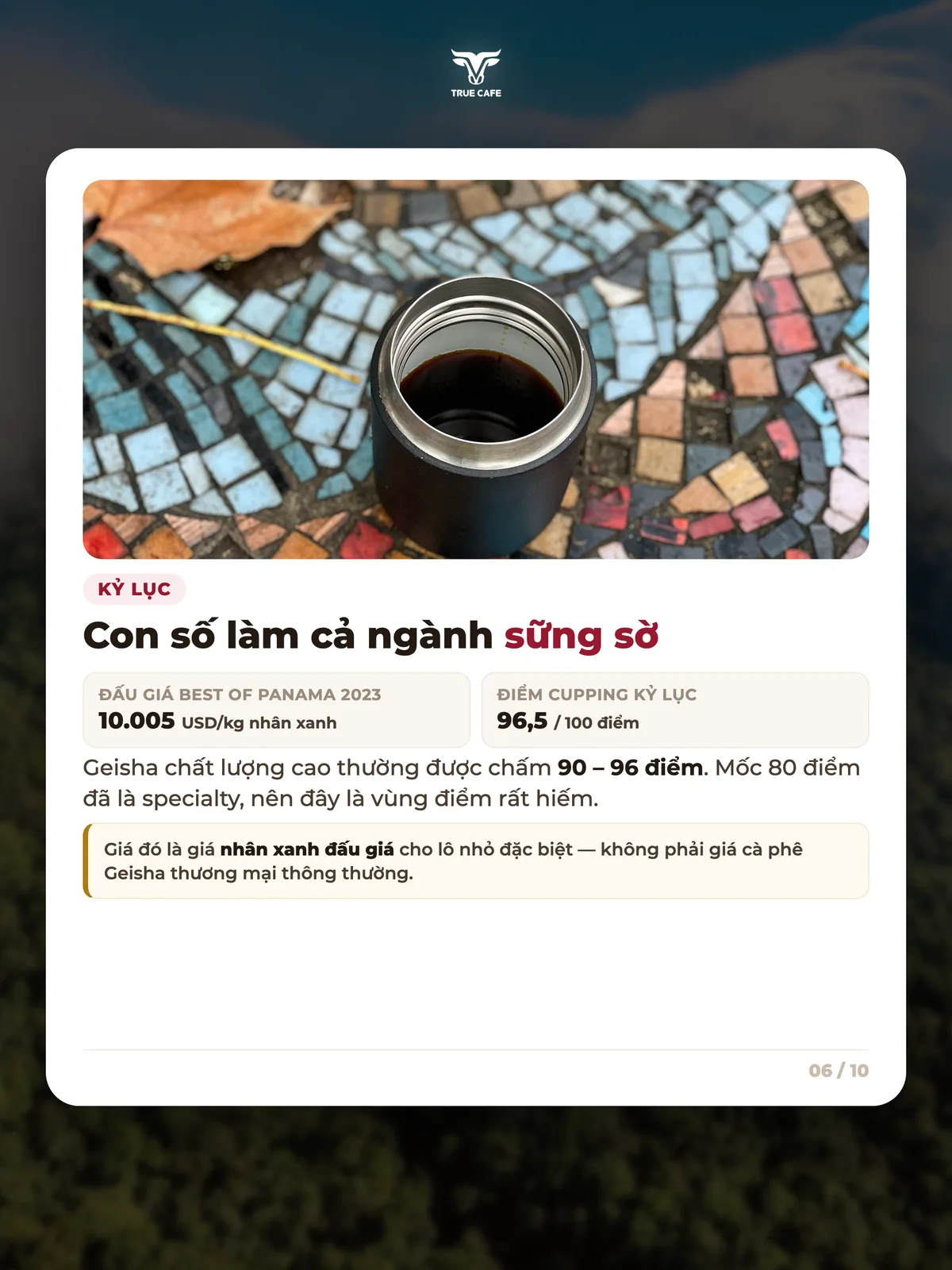 Kỷ lục — Con số làm cả ngành sững sờ