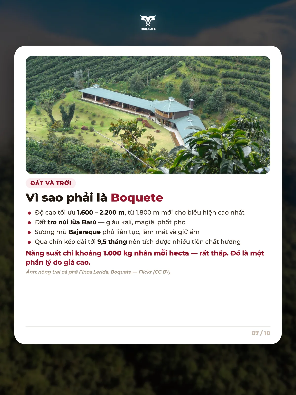 Đất và trời — Vì sao phải là Boquete