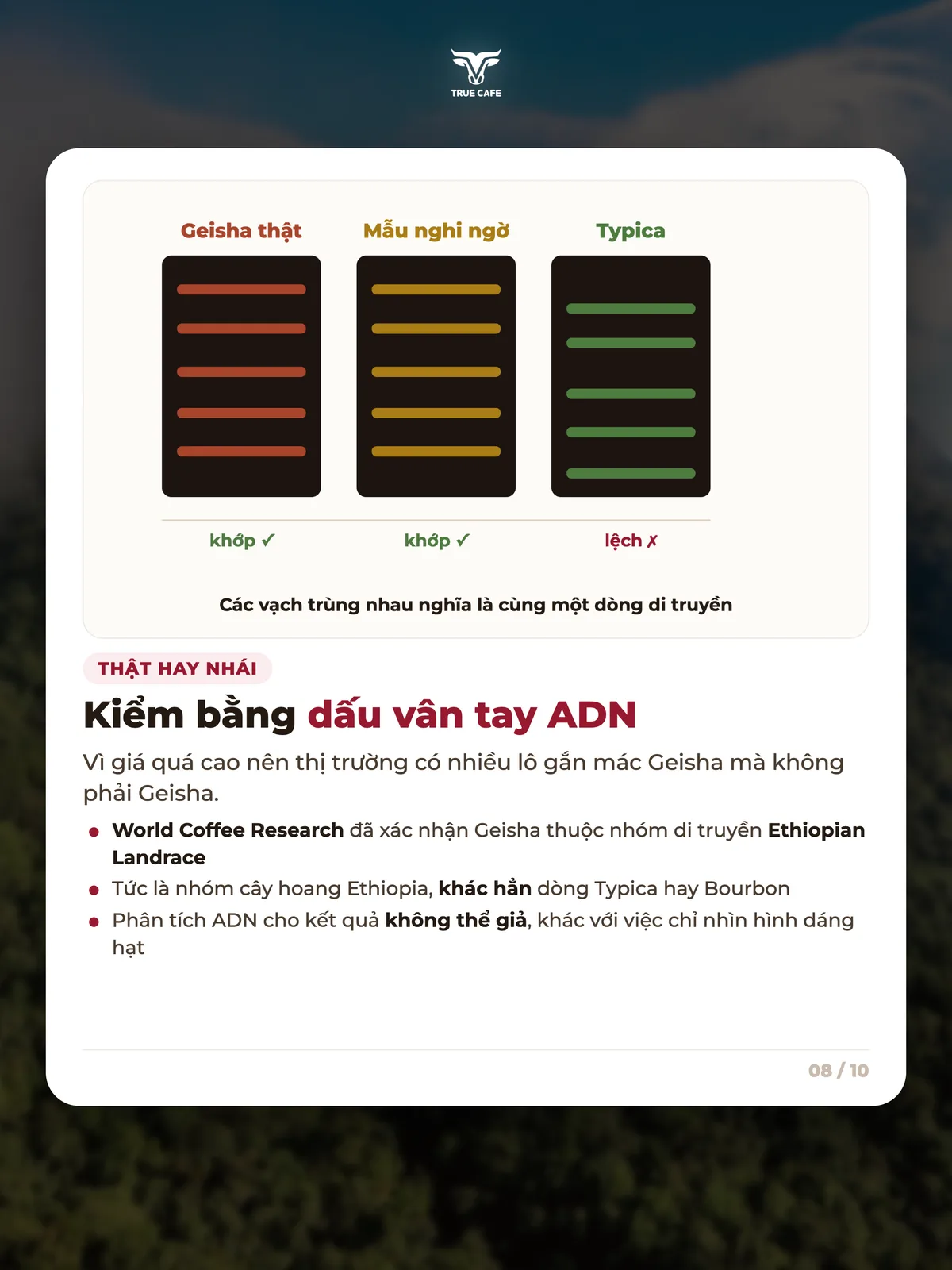 Thật hay nhái — Kiểm bằng dấu vân tay ADN