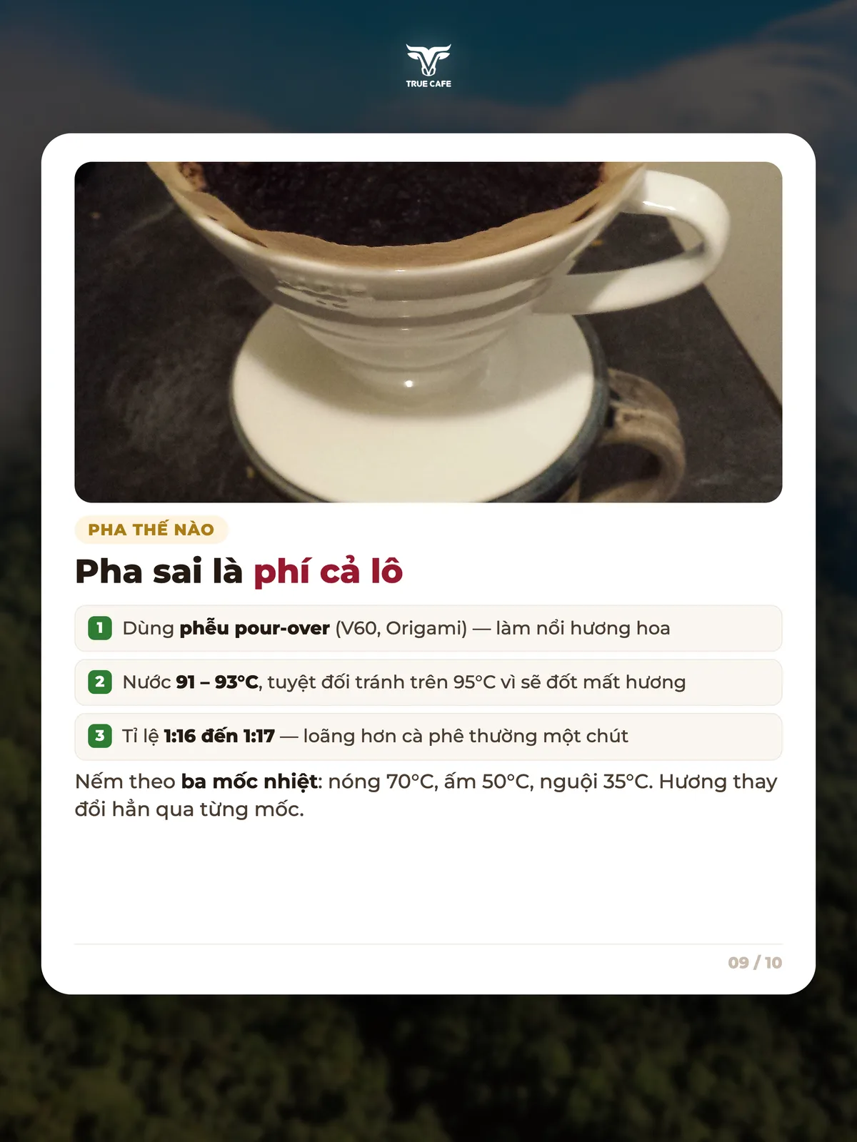 Pha sai là phí cả lô