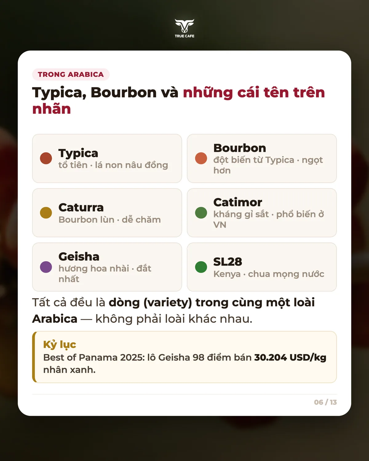 Trong Arabica — Typica, Bourbon và những cái tên trên nhãn