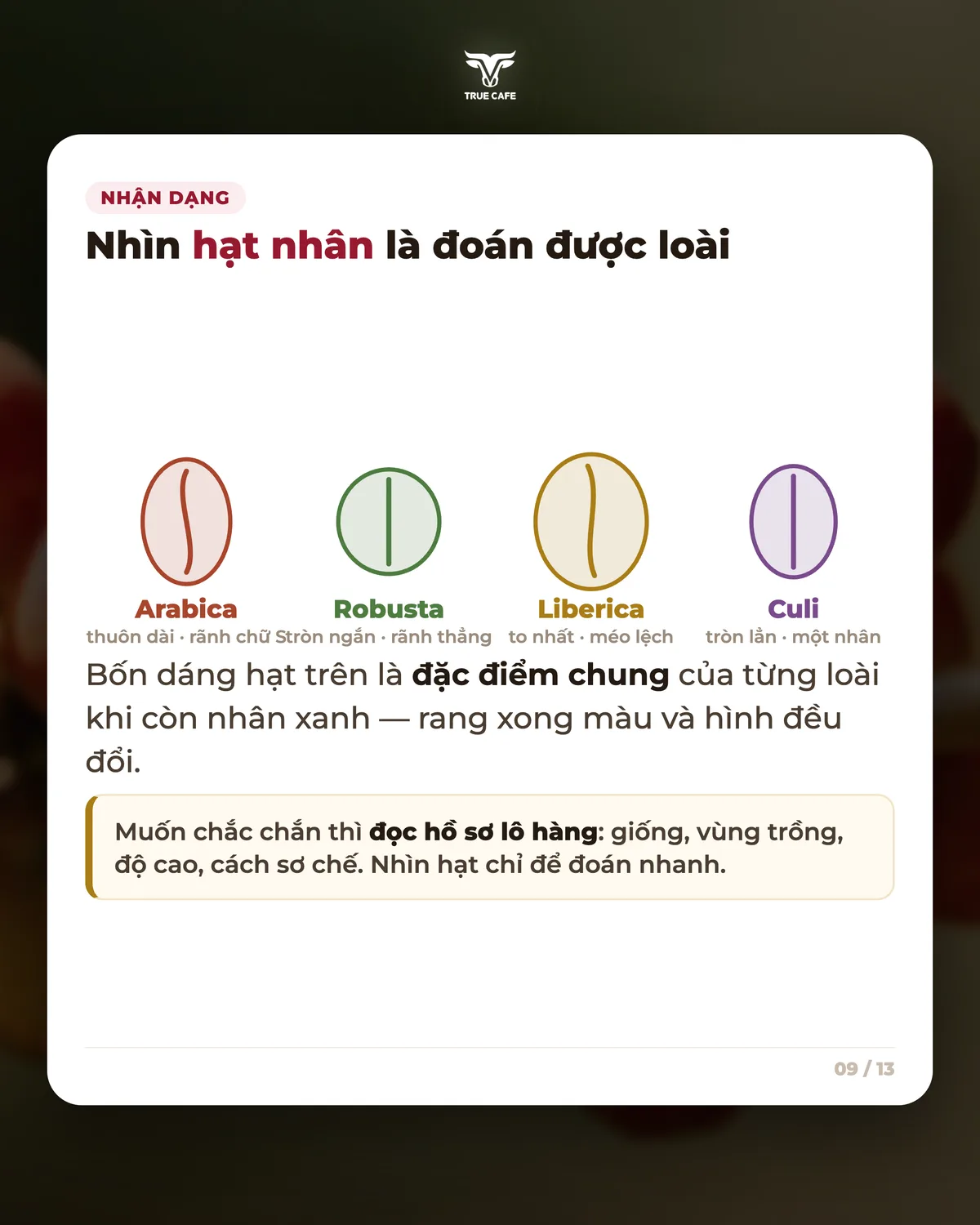Nhận dạng — Nhìn hạt nhân là đoán được loài