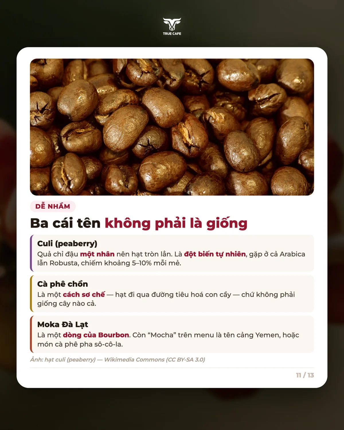 Dễ nhầm — Ba cái tên không phải là giống