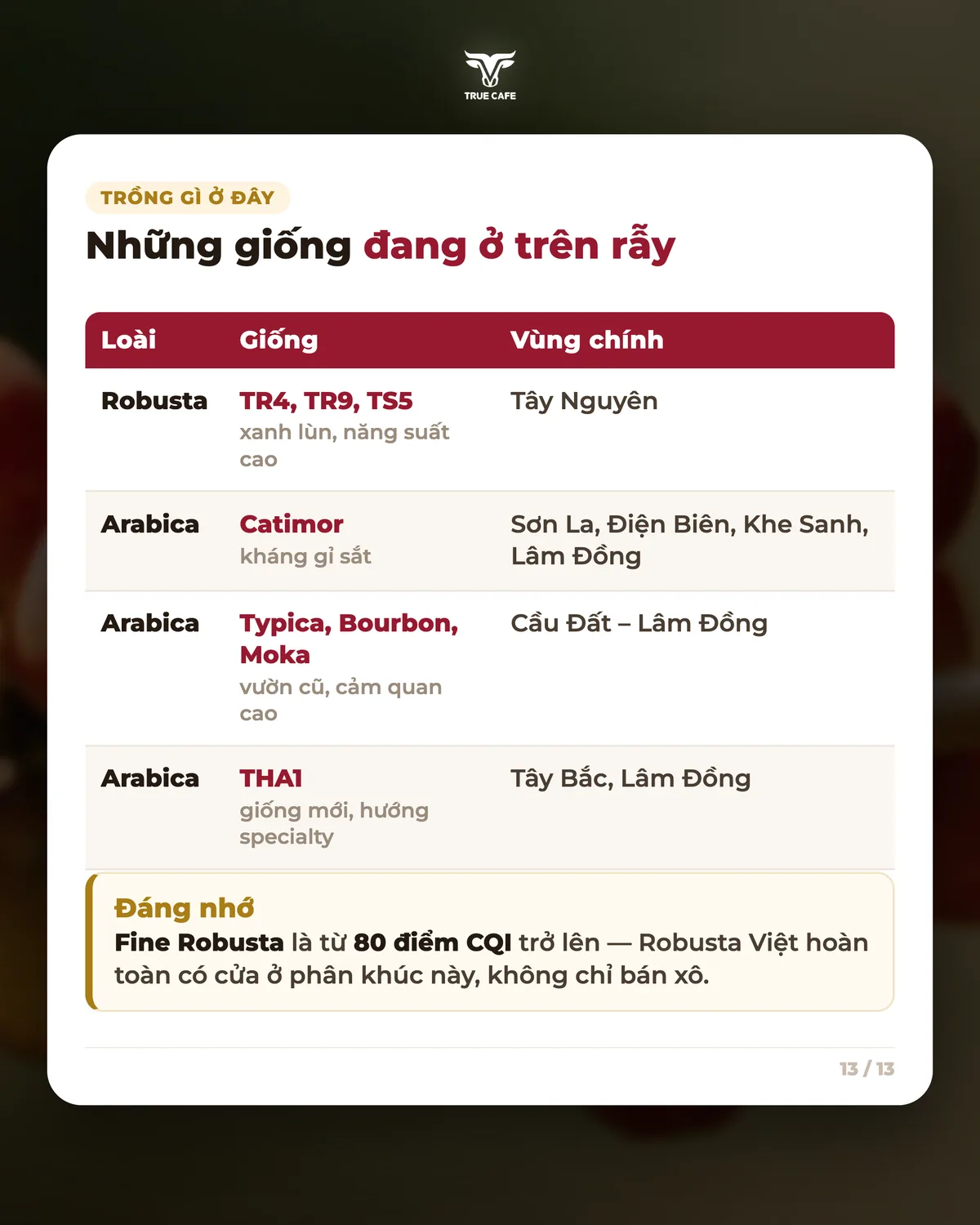 Những giống đang ở trên rẫy