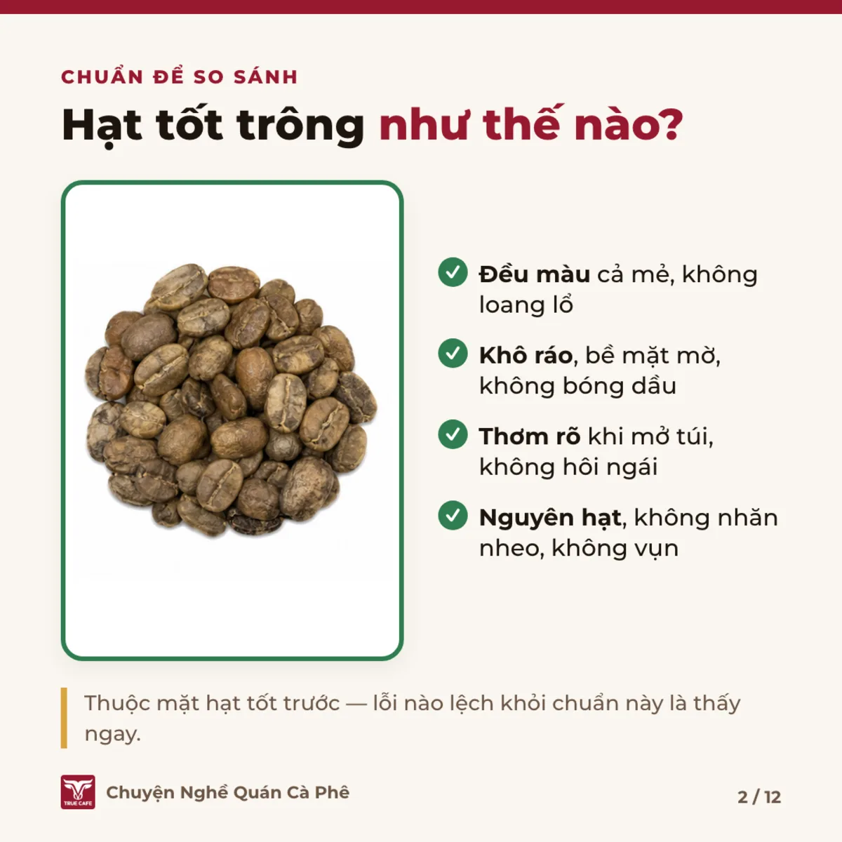 Chuẩn để so sánh — Hạt tốt trông như thế nào?