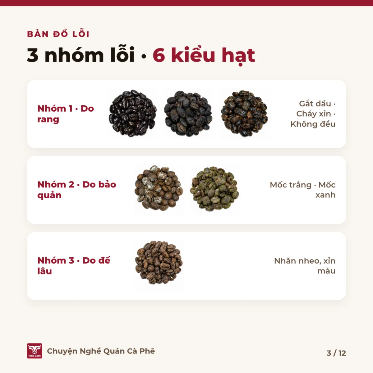 Bản đồ lỗi — 3 nhóm lỗi · 6 kiểu hạt