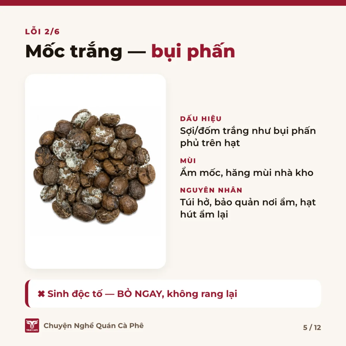 Lỗi 2/6 — Mốc trắng — bụi phấn