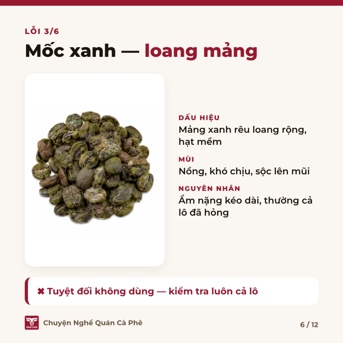 Lỗi 3/6 — Mốc xanh — loang mảng