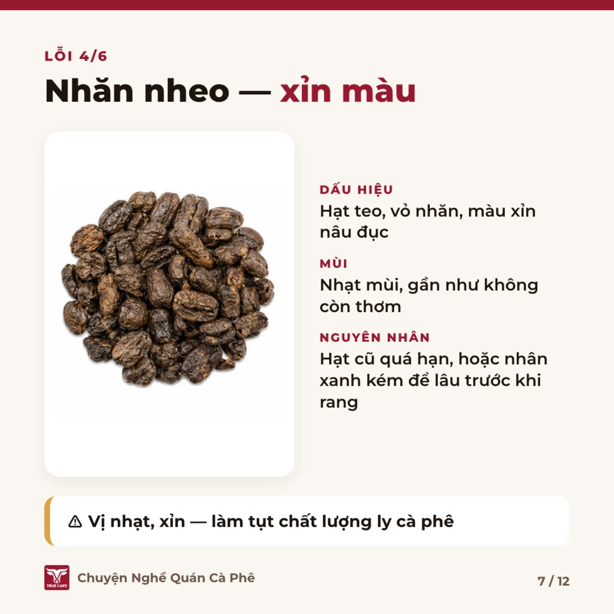 Lỗi 4/6 — Nhăn nheo — xỉn màu