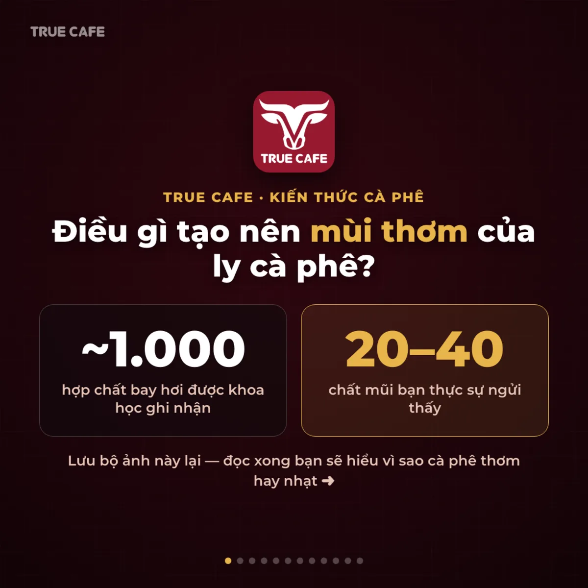 True Cafe · Kiến thức cà phê — Điều gì tạo nên mùi thơm của ly cà phê?
