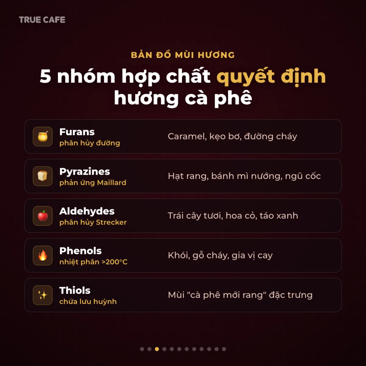 Bản đồ mùi hương — 5 nhóm hợp chất quyết định hương cà phê