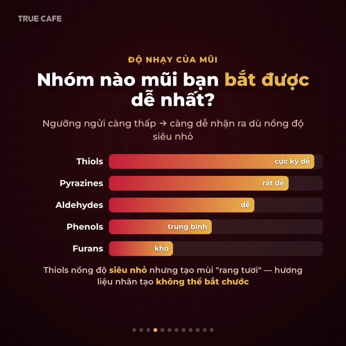 Độ nhạy của mũi — Nhóm nào mũi bạn bắt được dễ nhất?