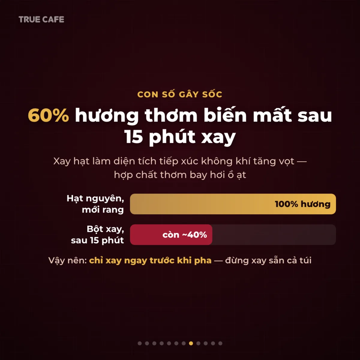 Con số gây sốc — 60% hương thơm biến mất sau 15 phút xay