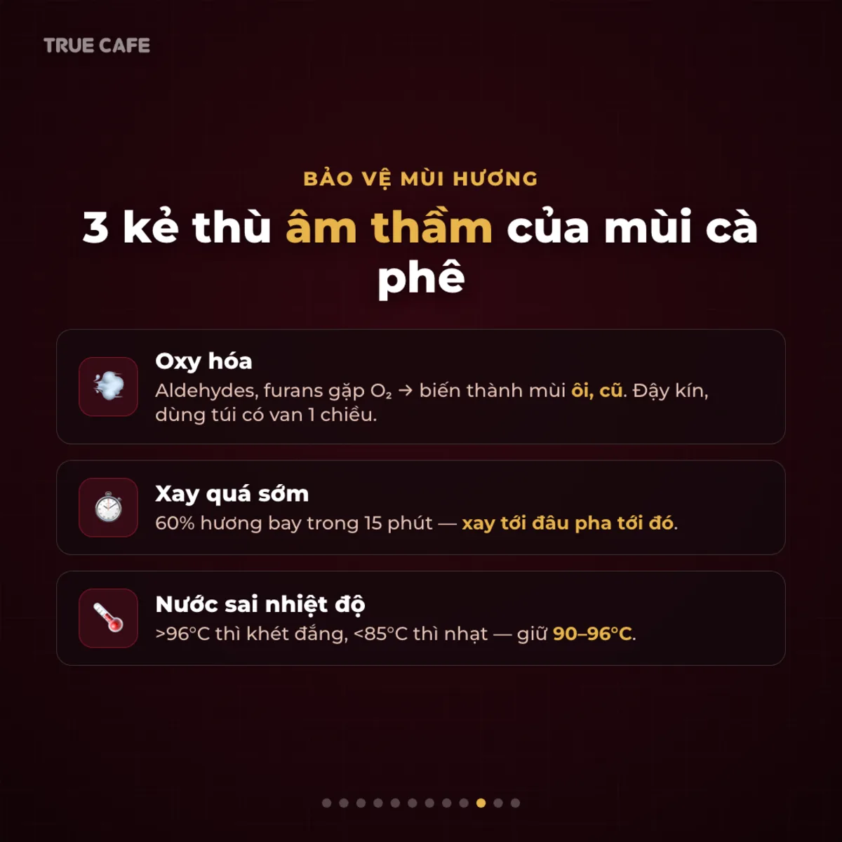 Bảo vệ mùi hương — 3 kẻ thù âm thầm của mùi cà phê