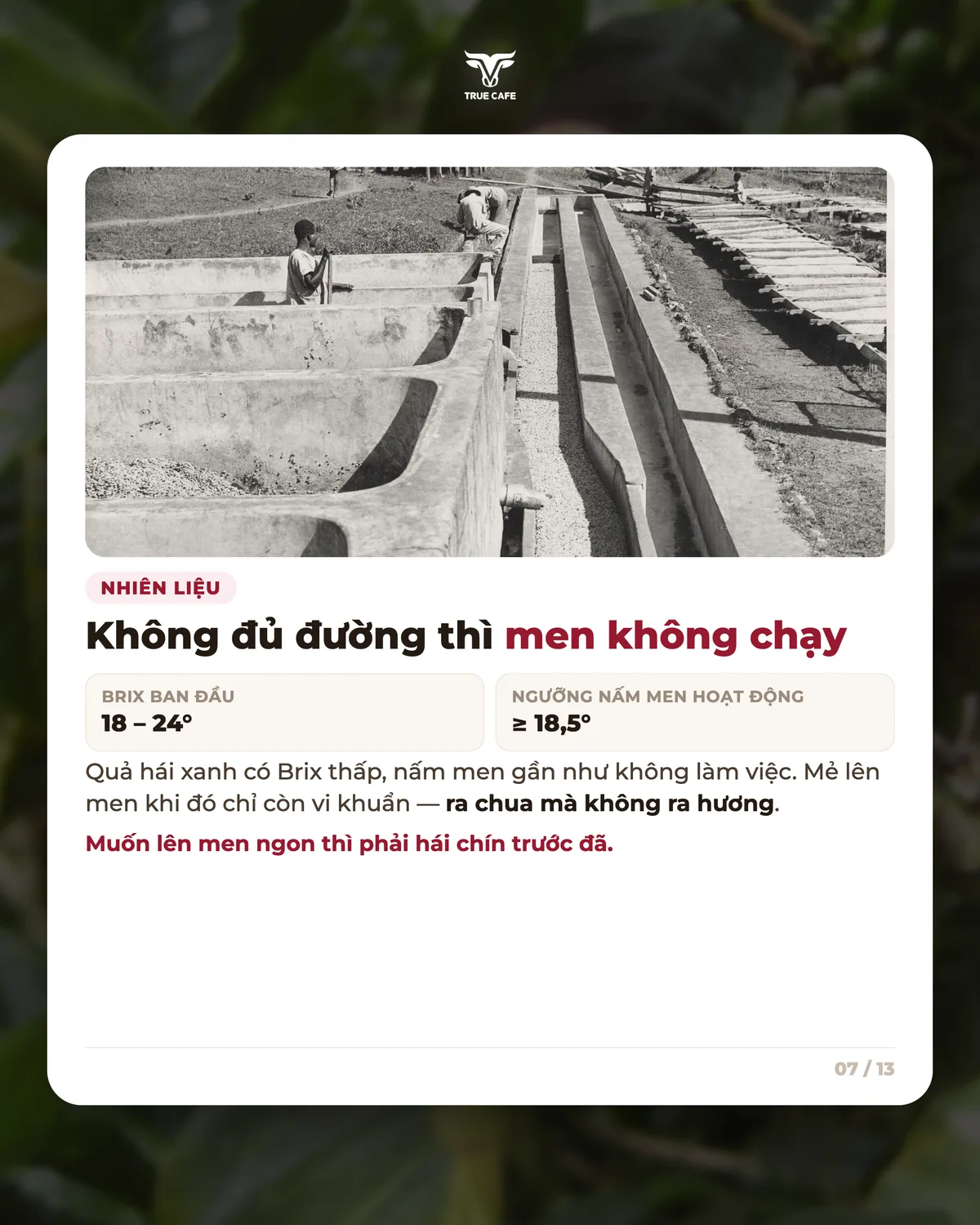 Nhiên liệu — Không đủ đường thì men không chạy
