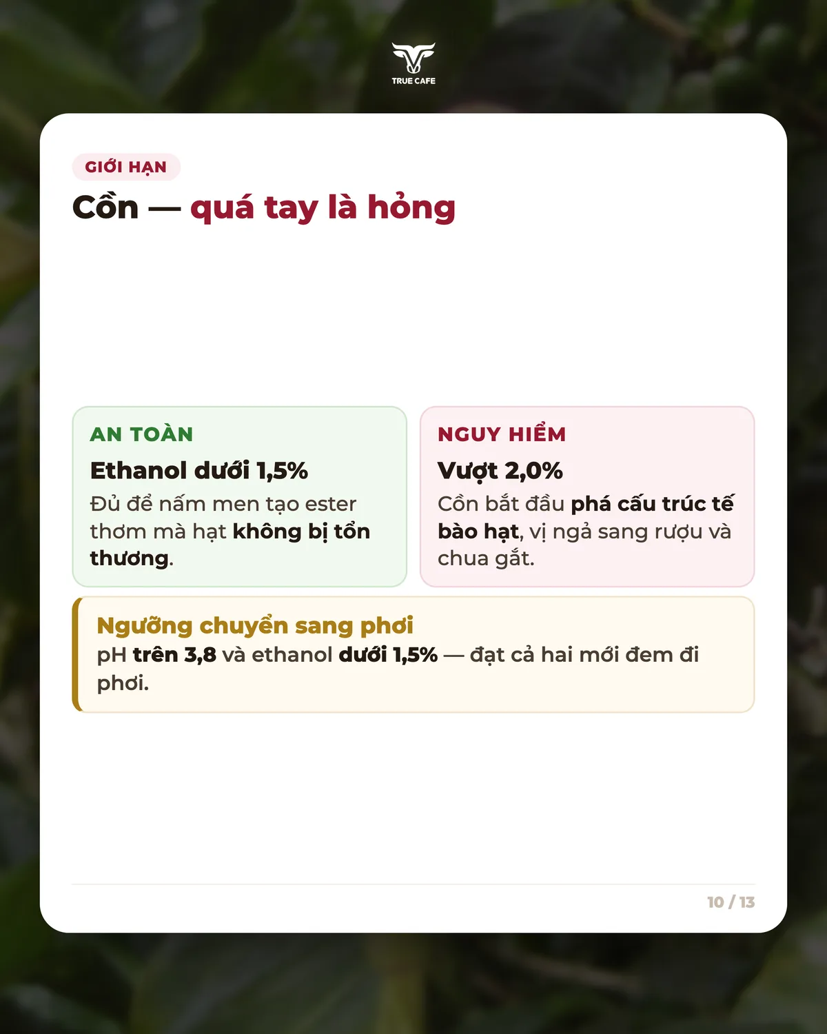 Giới hạn — Cồn — quá tay là hỏng