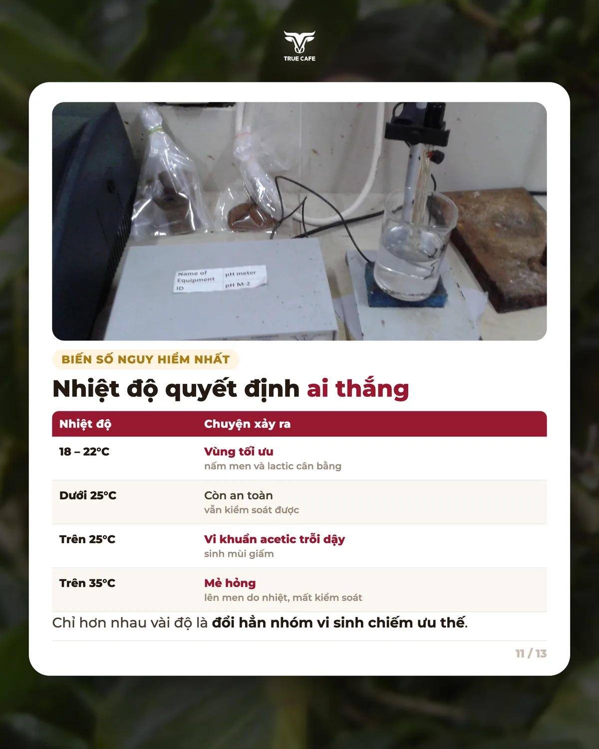Nhiệt độ quyết định ai thắng