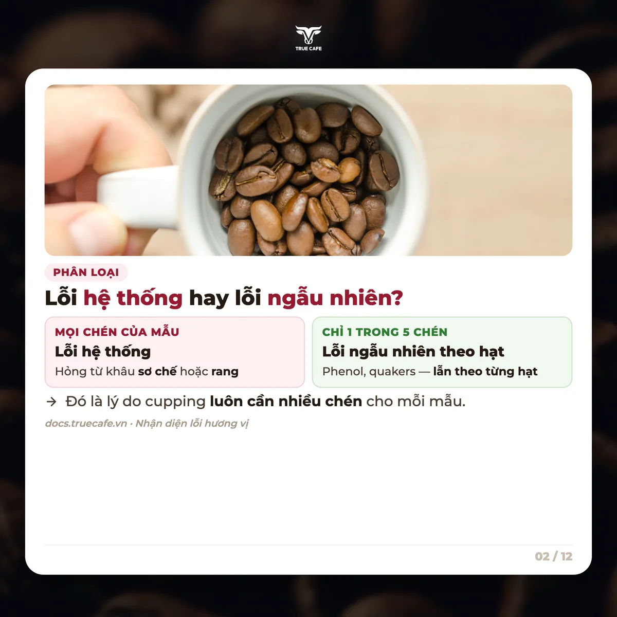 Phân loại — Lỗi hệ thống hay lỗi ngẫu nhiên?