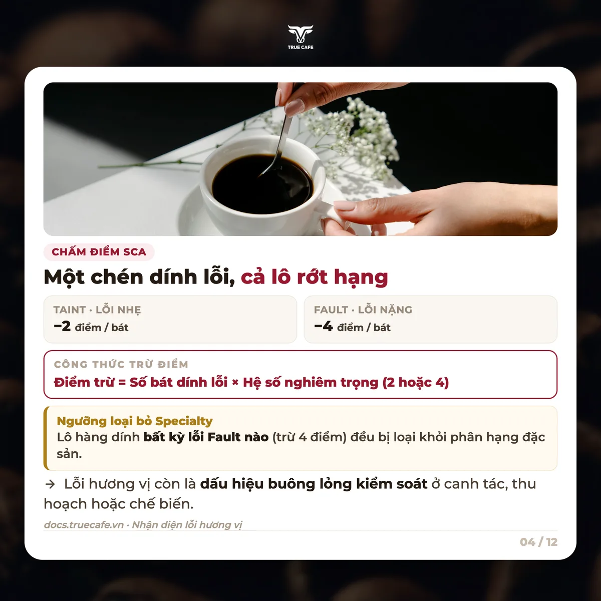 Chấm điểm SCA — Một chén dính lỗi, cả lô rớt hạng