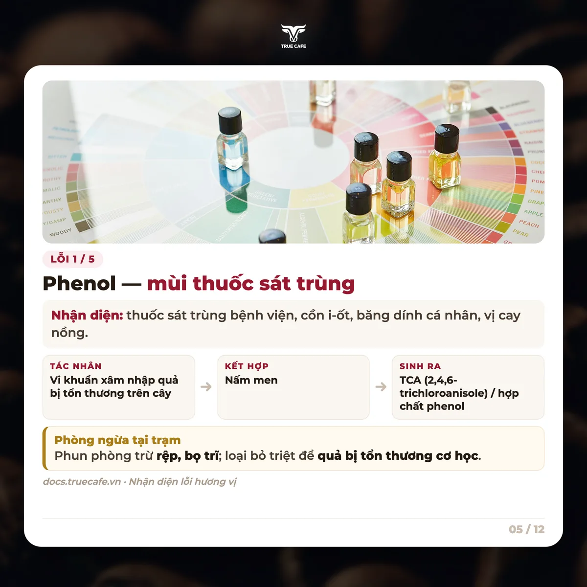 Lỗi 1 / 5 — Phenol — mùi thuốc sát trùng