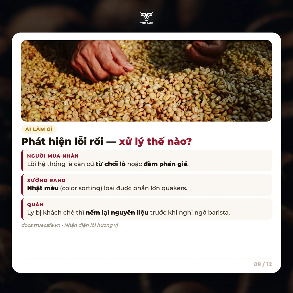 Phát hiện lỗi rồi — xử lý thế nào?