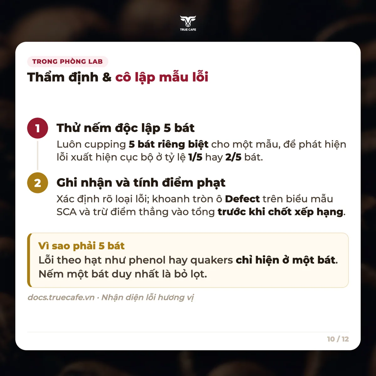 Trong phòng lab — Thẩm định & cô lập mẫu lỗi