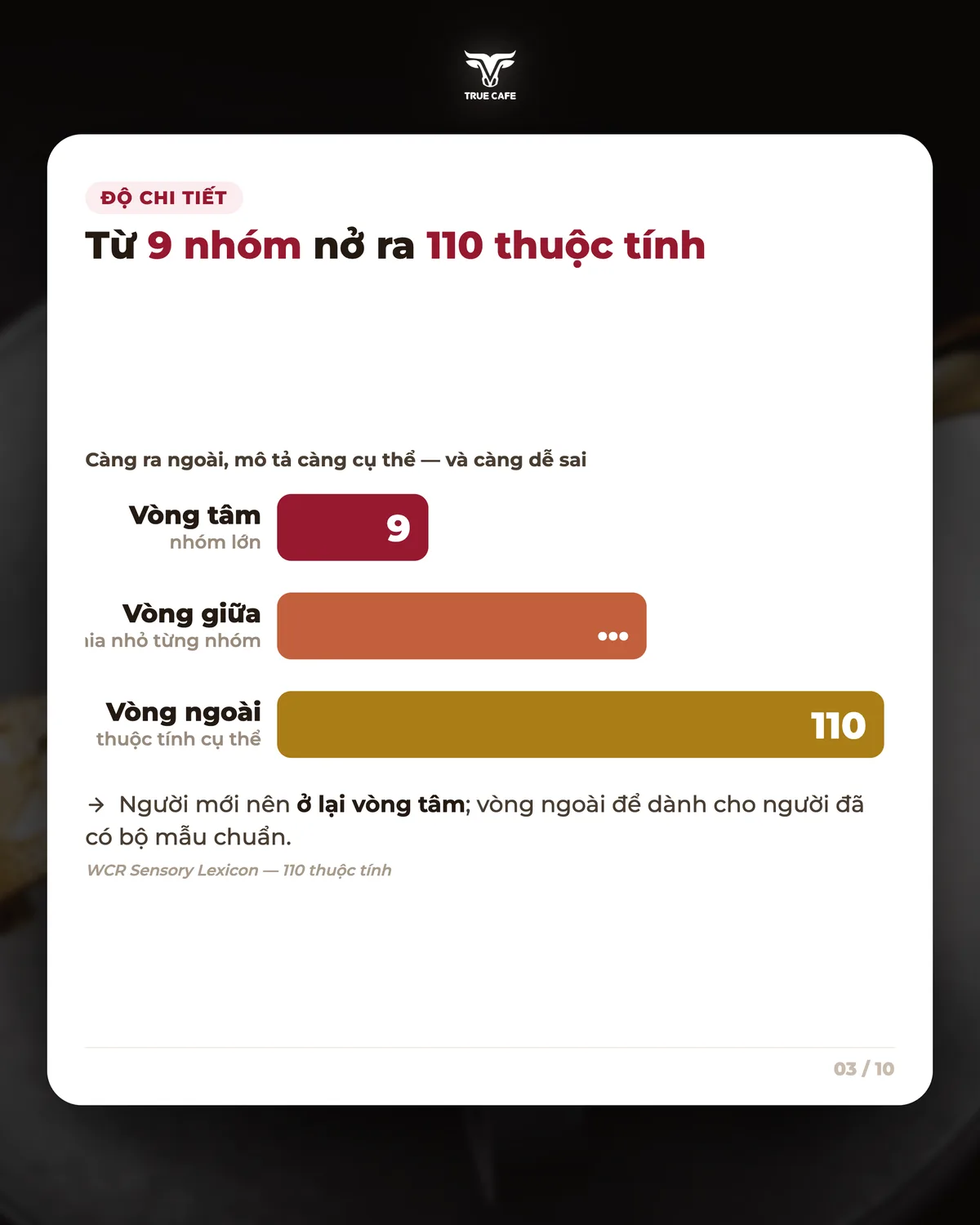 Độ chi tiết — Từ 9 nhóm nở ra 110 thuộc tính