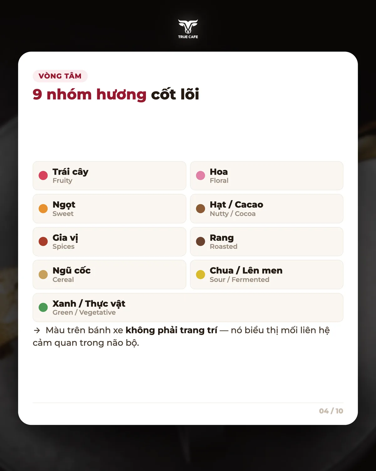 Vòng tâm — 9 nhóm hương cốt lõi