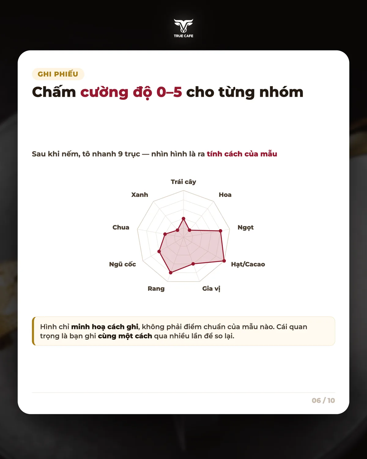 Chấm cường độ 0–5 cho từng nhóm