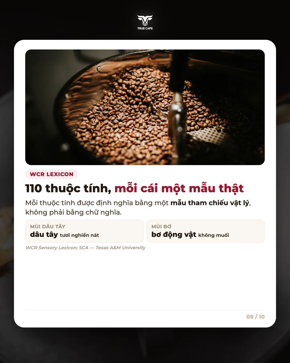 WCR Lexicon — 110 thuộc tính, mỗi cái một mẫu thật