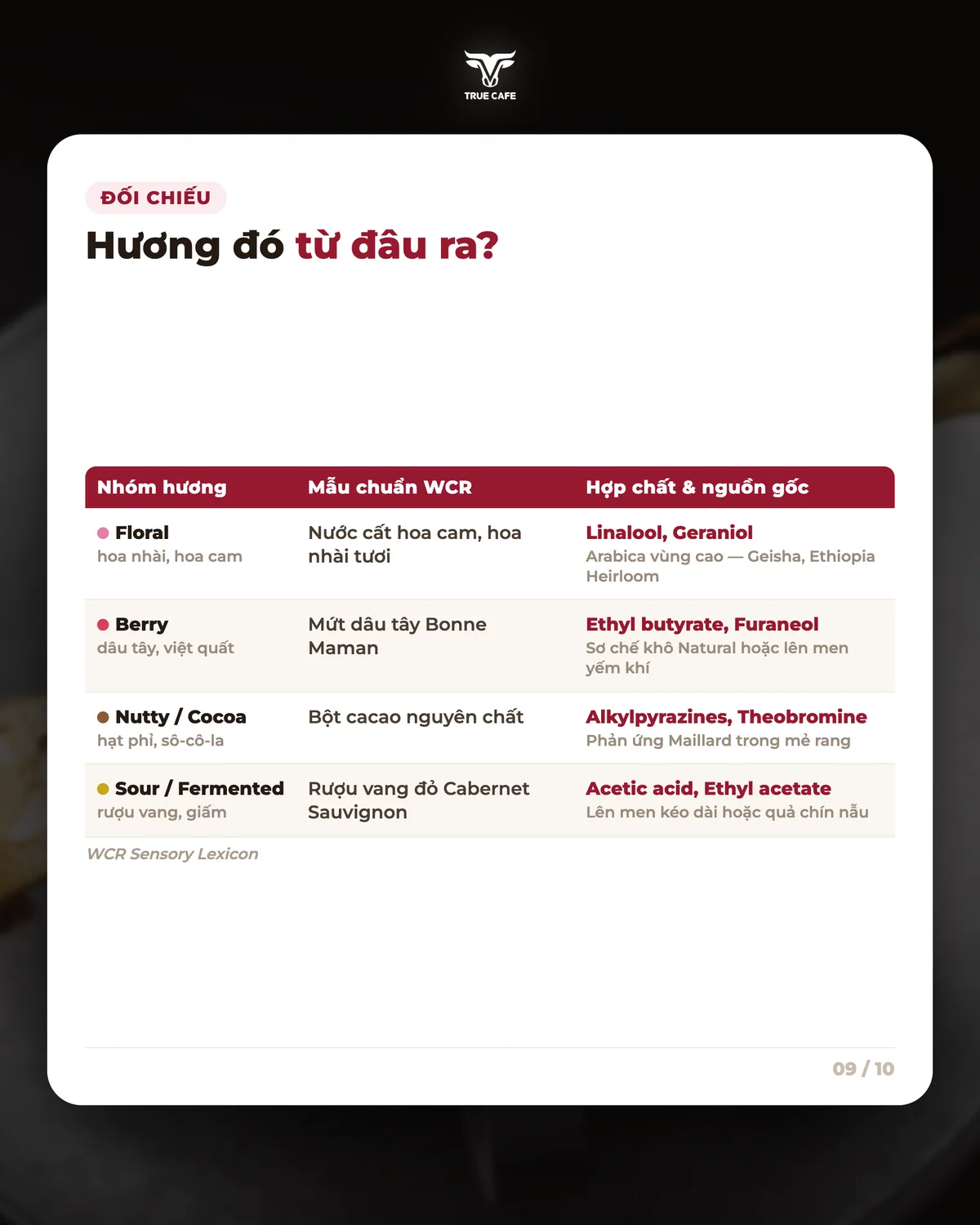 Đối chiếu — Hương đó từ đâu ra?