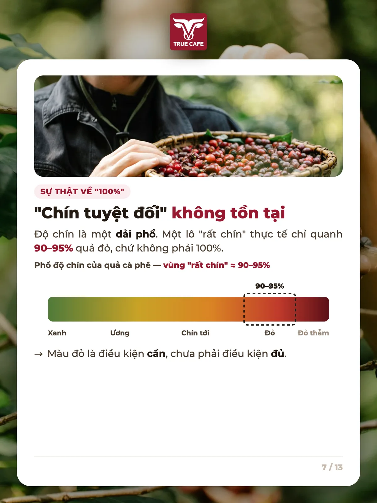 Sự thật về "100%" — "Chín tuyệt đối" không tồn tại