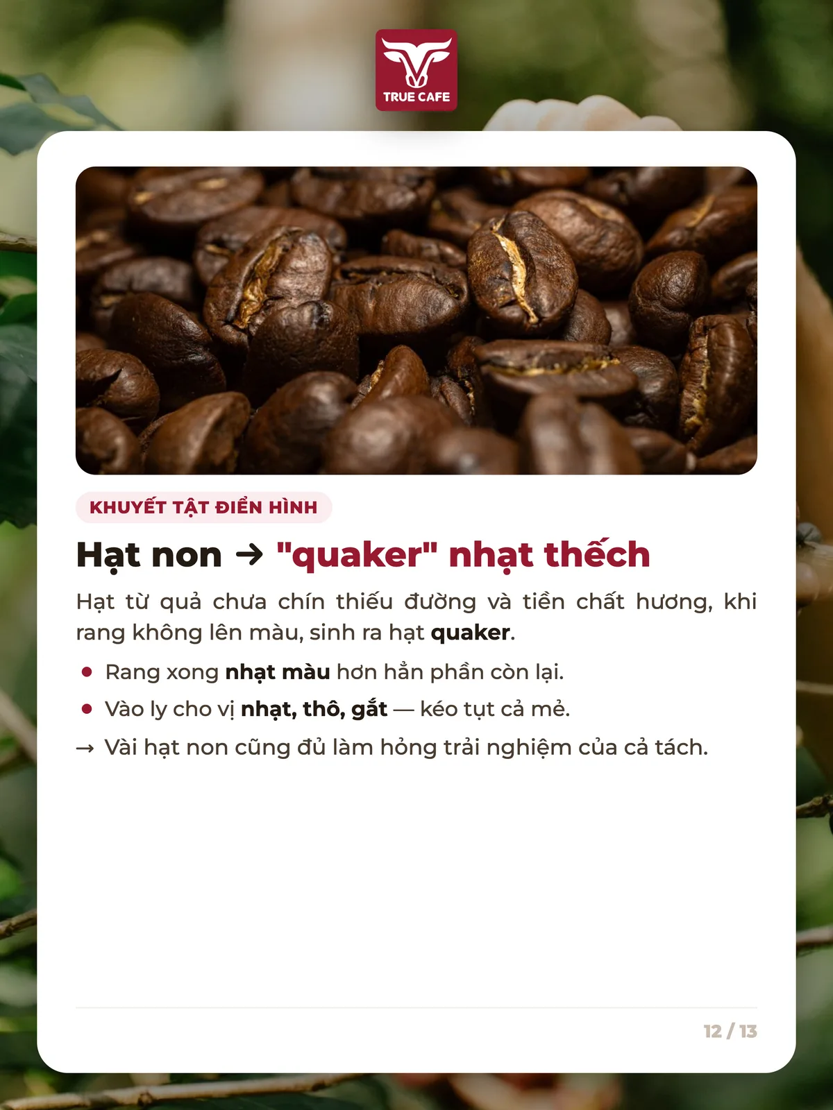 Khuyết tật điển hình — Hạt non → "quaker" nhạt thếch
