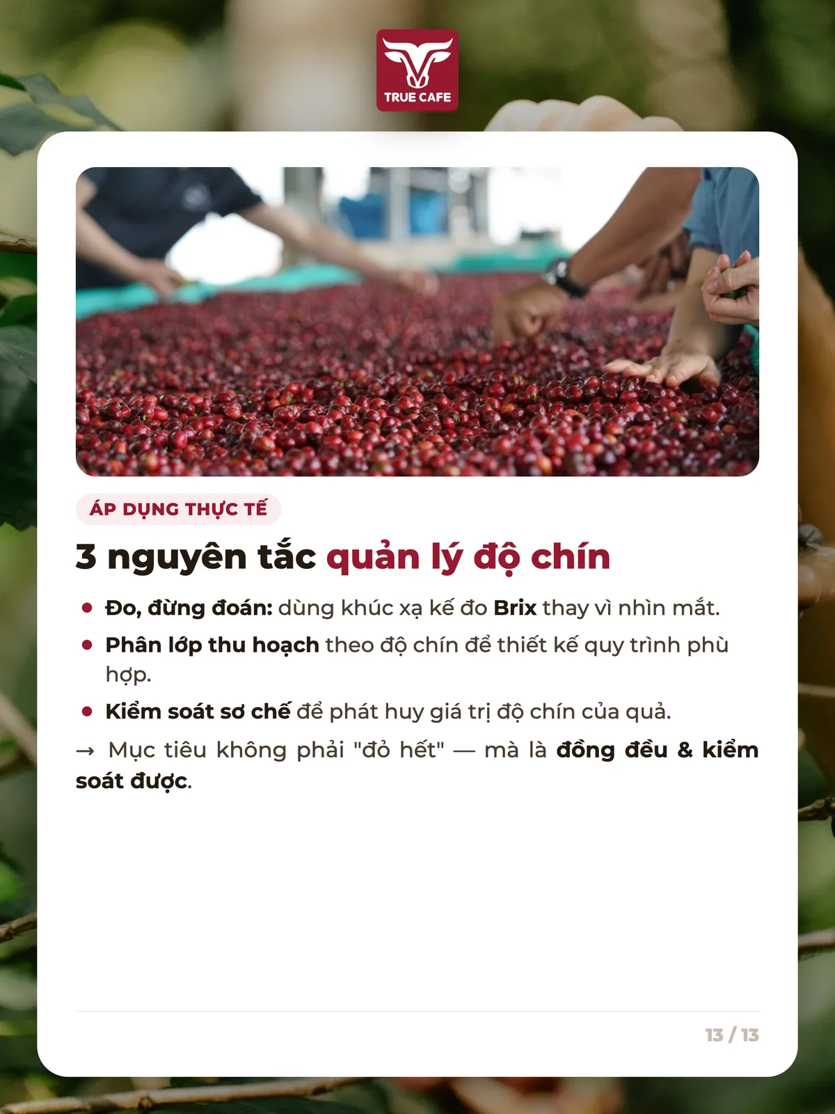 Áp dụng thực tế — 3 nguyên tắc quản lý độ chín