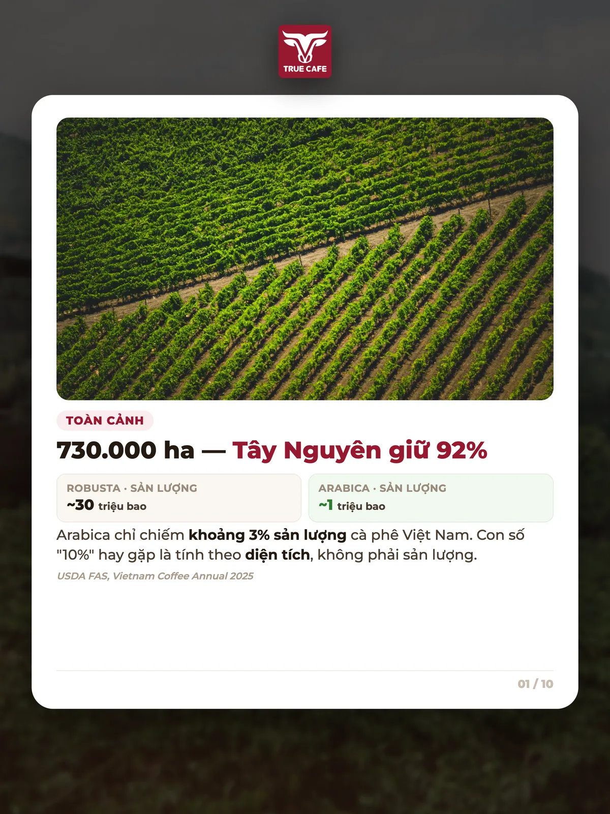Toàn cảnh — 730.000 ha — Tây Nguyên giữ 92%