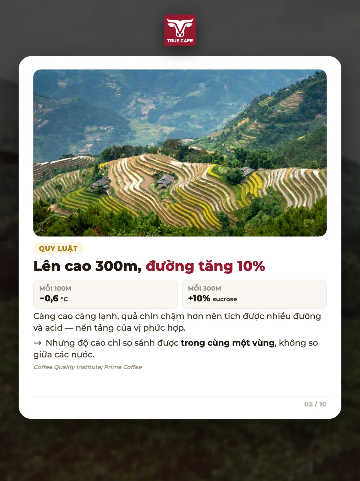 Lên cao 300m, đường tăng 10%